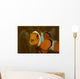 False Clown Anemonefish with Wall Decal