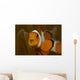 False Clown Anemonefish with Wall Decal