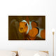 False Clown Anemonefish with Wall Decal