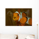 False Clown Anemonefish with Wall Decal