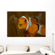 False Clown Anemonefish with Wall Decal