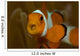 False Clown Anemonefish with Wall Decal