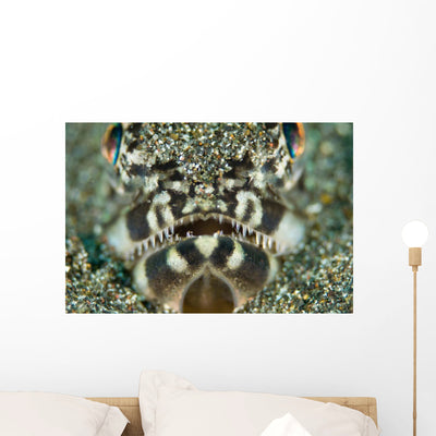 Portrait Lizardfish Wall Decal shown on a wall