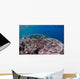 Shallow Coral Reef Bunaken Wall Decal Design 5