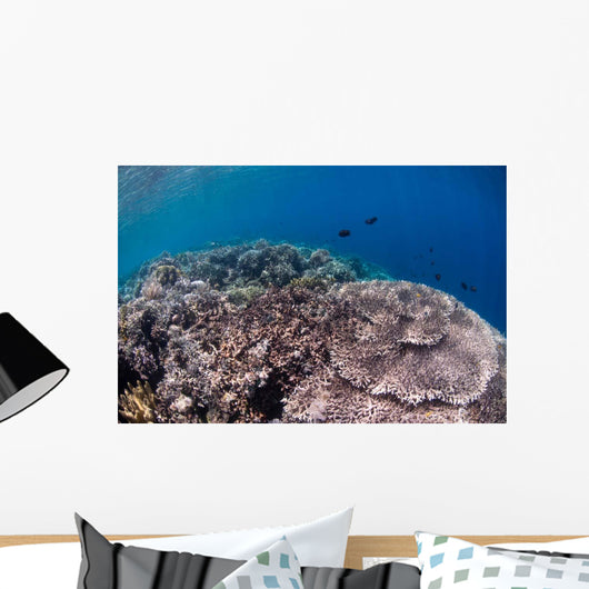 Shallow Coral Reef Bunaken Wall Decal Design 5