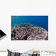 Shallow Coral Reef Bunaken Wall Decal Design 5