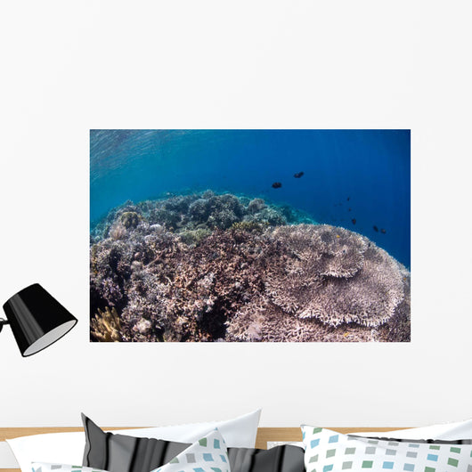 Shallow Coral Reef Bunaken Wall Decal Design 5