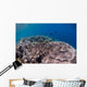 Shallow Coral Reef Bunaken Wall Decal Design 5