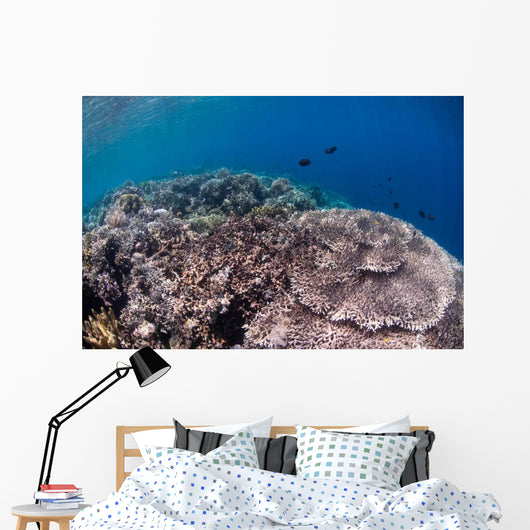 Shallow Coral Reef Bunaken Wall Decal Design 5