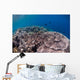 Shallow Coral Reef Bunaken Wall Decal Design 5