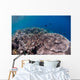 Shallow Coral Reef Bunaken Wall Decal Design 5