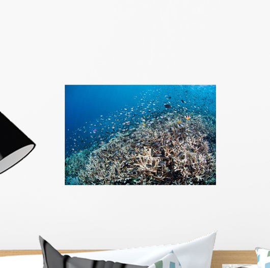 Shallow Coral Reef Bunaken Wall Decal Design 4