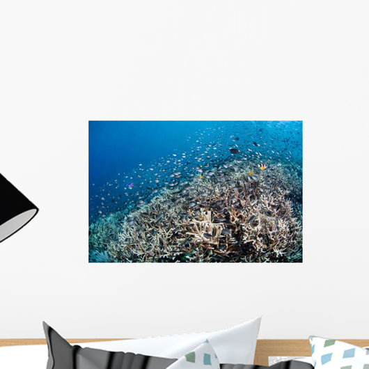 Shallow Coral Reef Bunaken Wall Decal Design 4