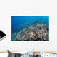 Shallow Coral Reef Bunaken Wall Decal Design 4