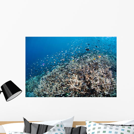 Shallow Coral Reef Bunaken Wall Decal Design 4