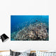 Shallow Coral Reef Bunaken Wall Decal Design 4