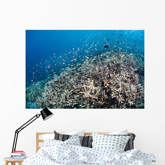 Shallow Coral Reef Bunaken Wall Decal Design 4