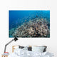 Shallow Coral Reef Bunaken Wall Decal Design 4