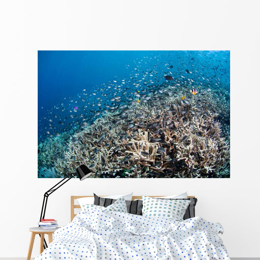 Shallow Coral Reef Bunaken Wall Decal Design 4