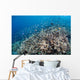 Shallow Coral Reef Bunaken Wall Decal Design 4