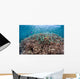 Shallow Coral Reef Bunaken Wall Decal Design 3