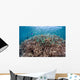 Shallow Coral Reef Bunaken Wall Decal Design 3