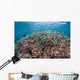 Shallow Coral Reef Bunaken Wall Decal Design 3