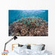 Shallow Coral Reef Bunaken Wall Decal Design 3