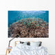 Shallow Coral Reef Bunaken Wall Decal Design 3