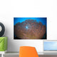 Shallow Coral Reef Bunaken Wall Decal Design 2
