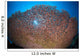 Shallow Coral Reef Bunaken Wall Decal Design 2