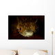 Orbicular Burrfish Portrait Wall Decal