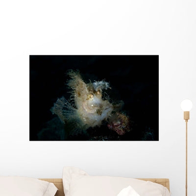 Weedy Scorpionfish Portrait Wall Decal Design 3 shown on a wall