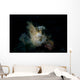 Weedy Scorpionfish Portrait Wall Decal Design 3