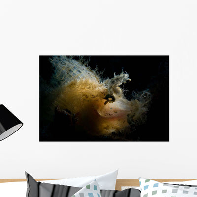 Weedy Scorpionfish Portrait Wall Decal Design 2 shown on a wall