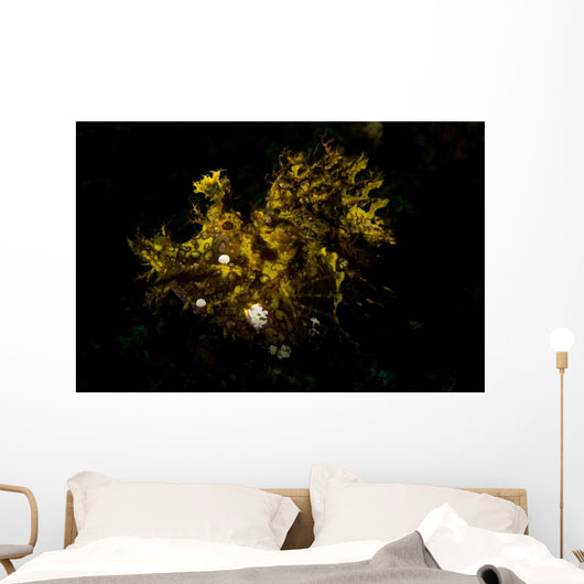Weedy Scorpionfish Portrait Wall Decal Design 1