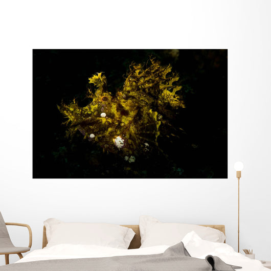 Weedy Scorpionfish Portrait Wall Decal Design 1
