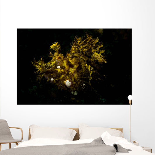 Weedy Scorpionfish Portrait Wall Decal Design 1