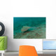 Blue Spotted Stingray Lembeh Wall Decal Design 3