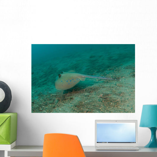 Blue Spotted Stingray Lembeh Wall Decal Design 3