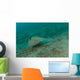 Blue Spotted Stingray Lembeh Wall Decal Design 3