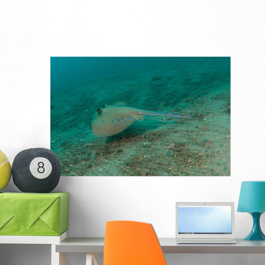 Blue Spotted Stingray Lembeh Wall Decal Design 3