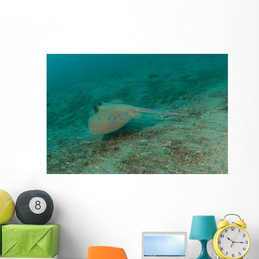 Blue Spotted Stingray Lembeh Wall Decal Design 3