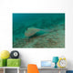 Blue Spotted Stingray Lembeh Wall Decal Design 3