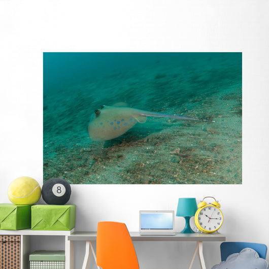 Blue Spotted Stingray Lembeh Wall Decal Design 3