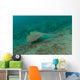 Blue Spotted Stingray Lembeh Wall Decal Design 3