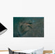 Flying Gurnard Lembeh Strait Wall Decal Design 2