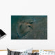 Flying Gurnard Lembeh Strait Wall Decal Design 2