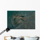 Flying Gurnard Lembeh Strait Wall Decal Design 2