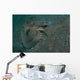 Flying Gurnard Lembeh Strait Wall Decal Design 2